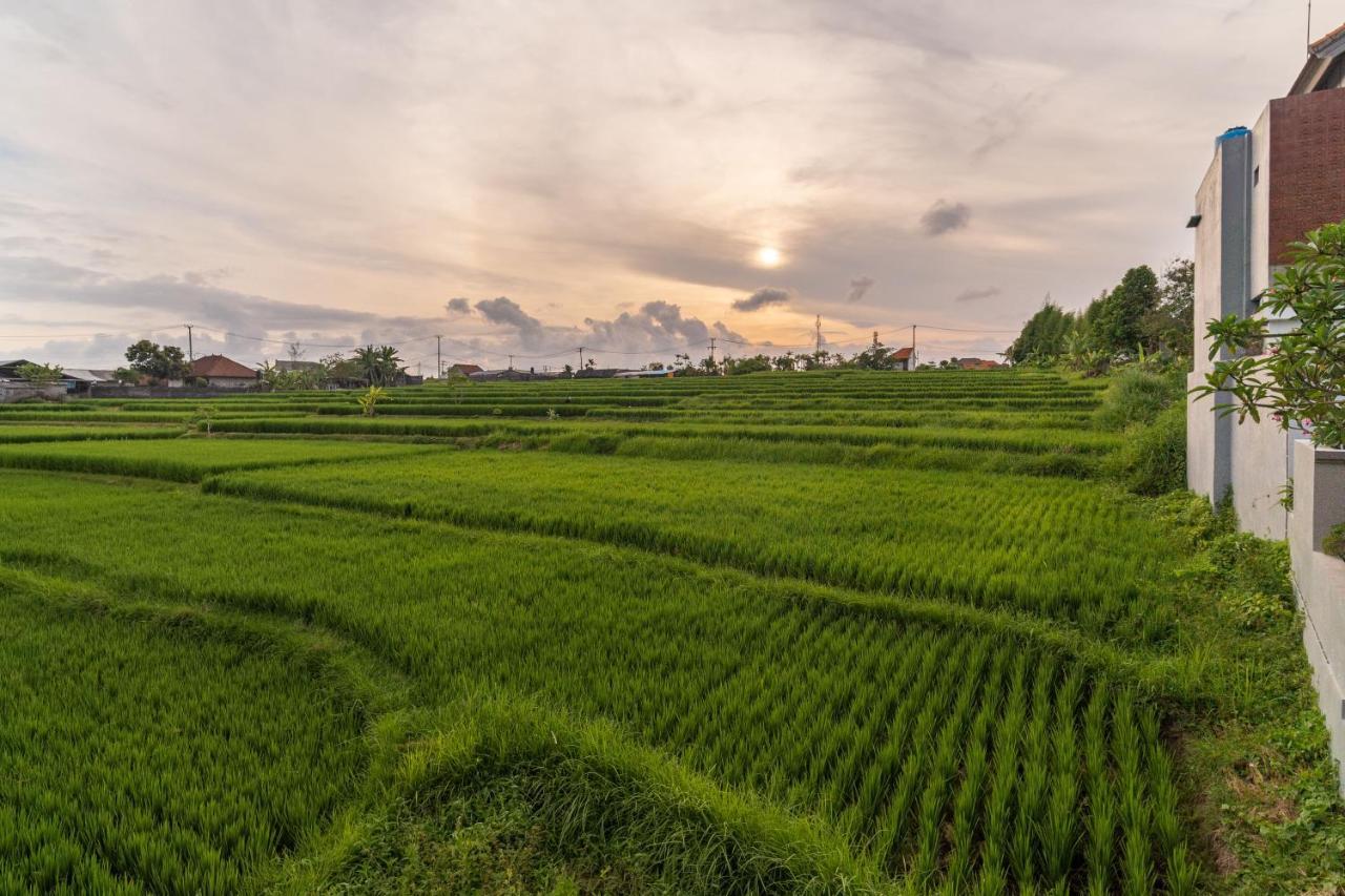 D'Macho Villas Ubud Buitenkant foto